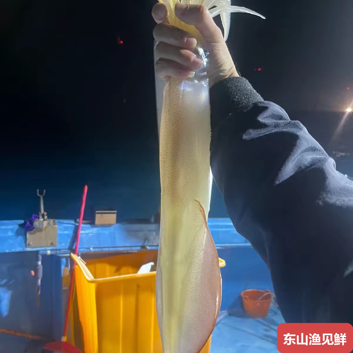 大管